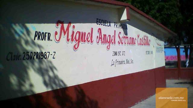 Entrada (vista previa)