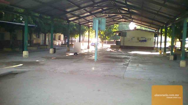 Entrada (vista previa)