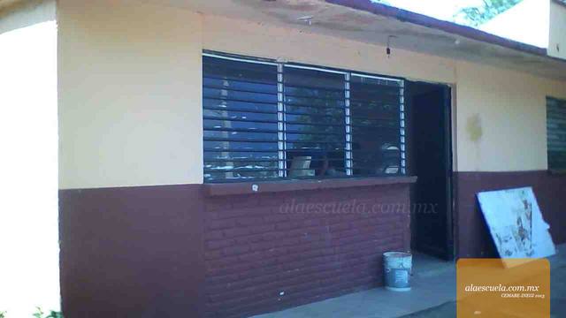 Entrada (vista previa)