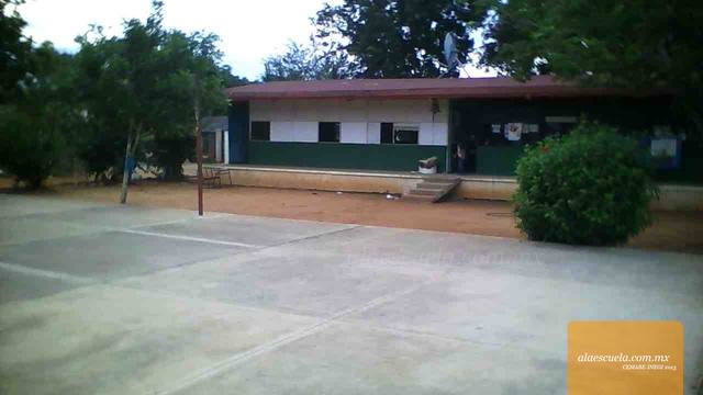 Entrada (vista previa)