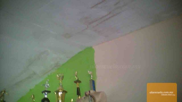 Entrada (vista previa)