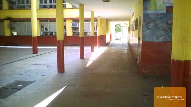 Entrada (vista previa)