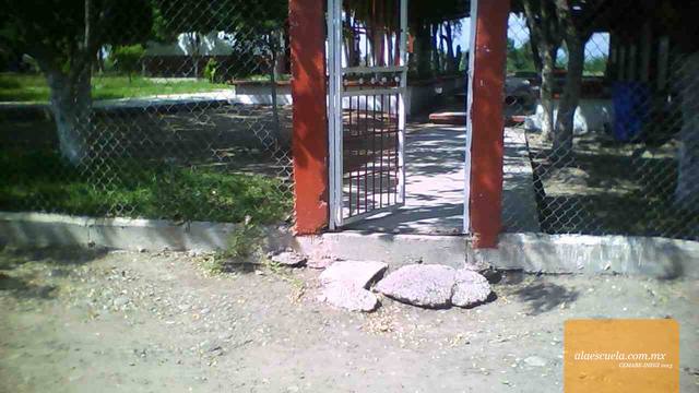 Entrada (vista previa)