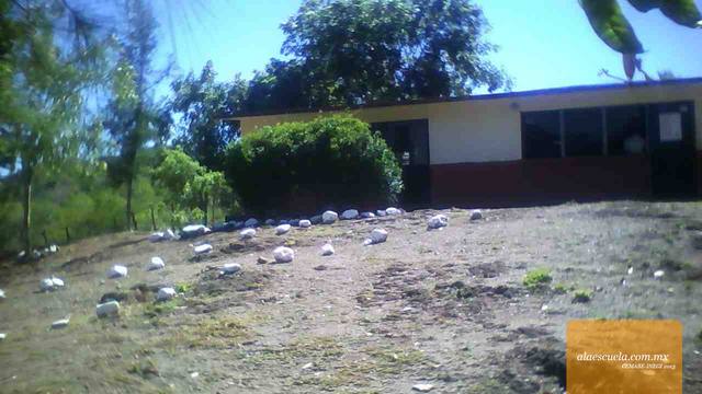 Entrada (vista previa)