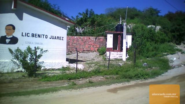 Entrada (vista previa)