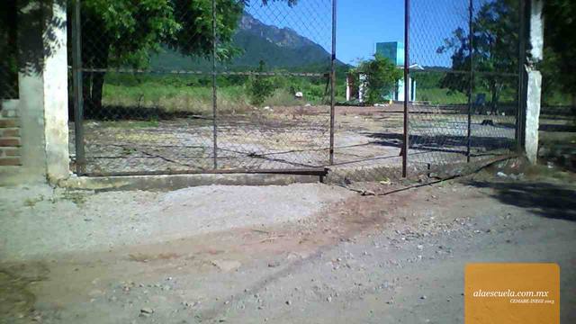 Entrada (vista previa)