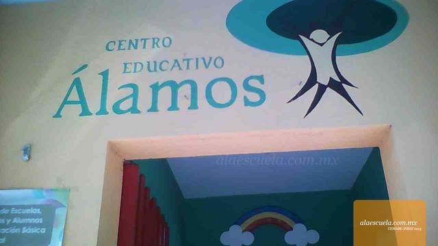 Entrada (vista previa)