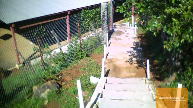 Entrada (vista previa)