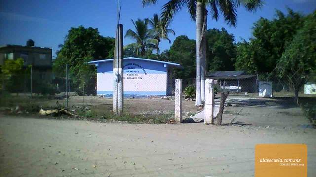 Entrada (vista previa)