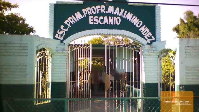 Entrada (vista previa)