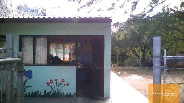 Entrada (vista previa)