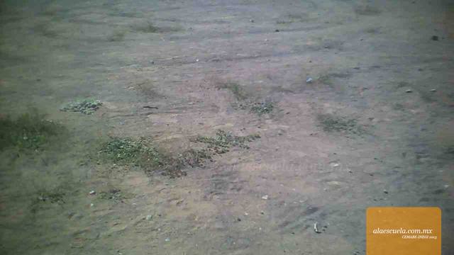 Áreas (vista previa)