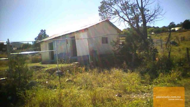 Entrada (vista previa)