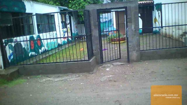 Entrada (vista previa)