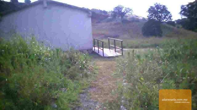 Entrada (vista previa)