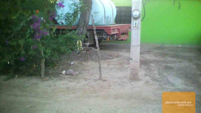 Entrada (vista previa)