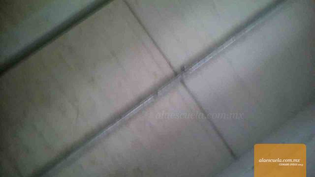 Aulas (vista previa)