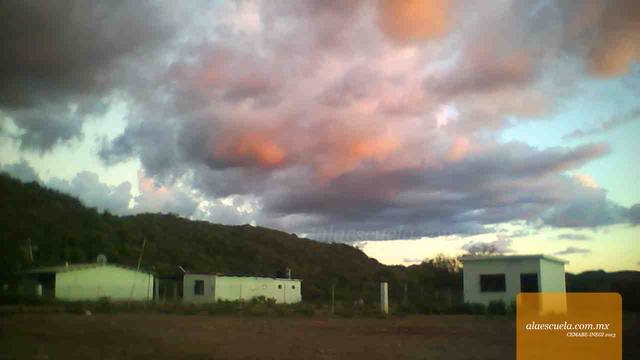 Entrada (vista previa)