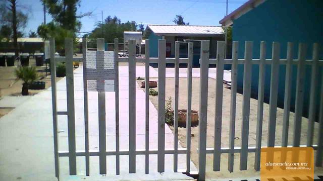 Entrada (vista previa)