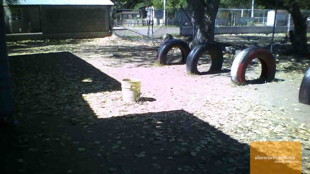 Aulas (vista previa)