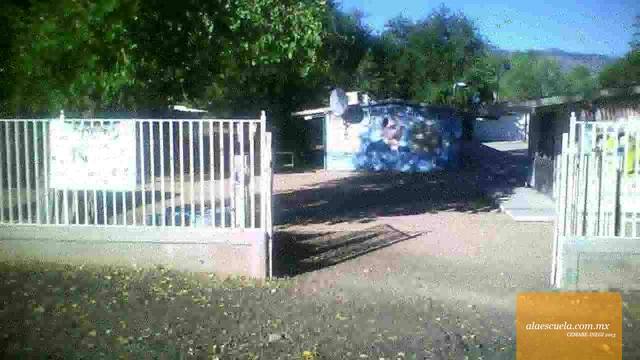 Entrada (vista previa)