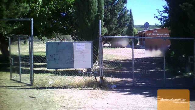 Entrada (vista previa)