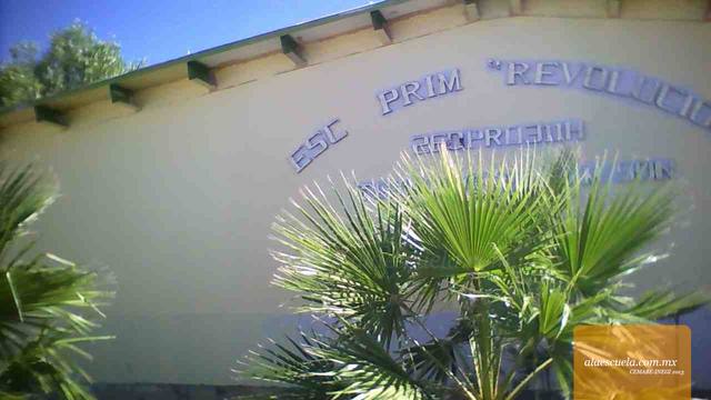 Entrada (vista previa)