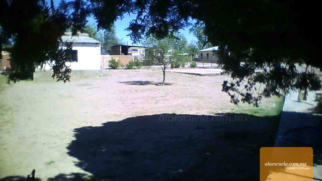 Áreas (vista previa)