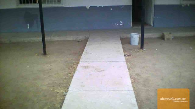 Entrada (vista previa)