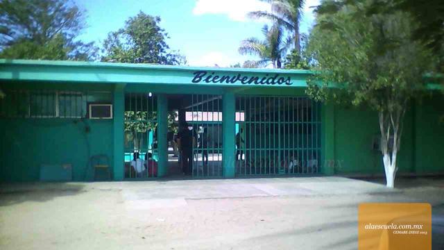 Entrada (vista previa)