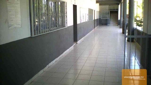 Entrada (vista previa)