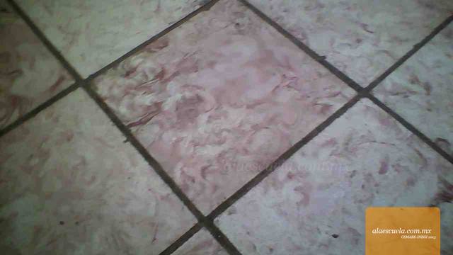 Aulas (vista previa)