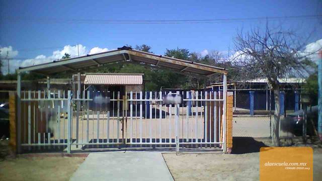 Entrada (vista previa)