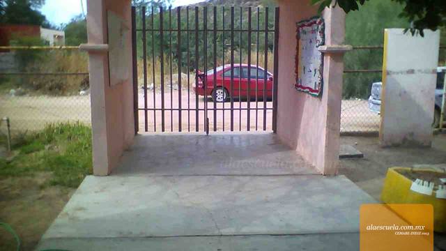 Entrada (vista previa)