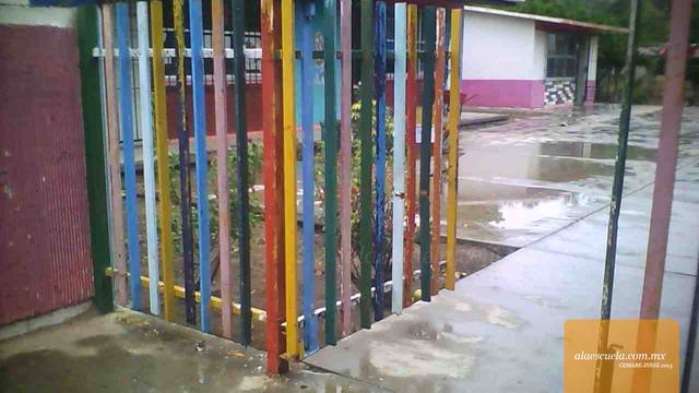 Entrada (vista previa)