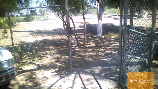 Entrada (vista previa)