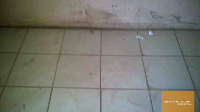 Aulas (vista previa)