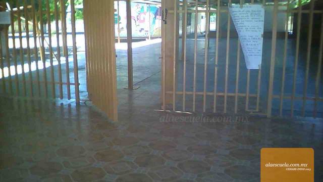 Entrada (vista previa)