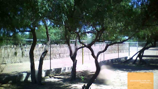 Aulas (vista previa)