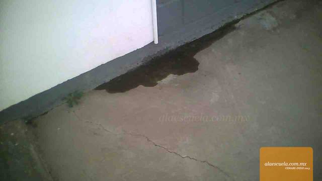 Aulas (vista previa)