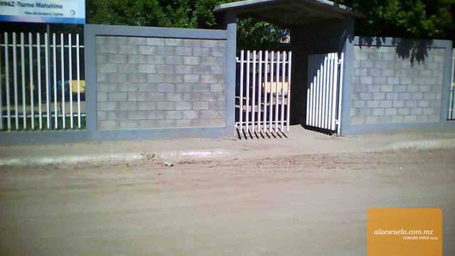 Entrada (vista previa)