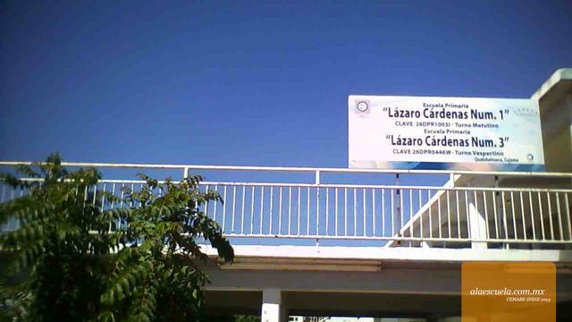 Entrada (vista previa)