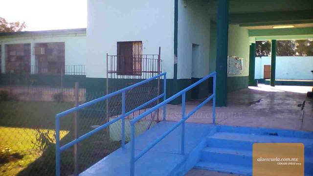 Entrada (vista previa)