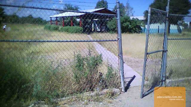 Entrada (vista previa)