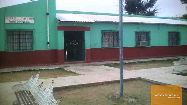 Entrada (vista previa)