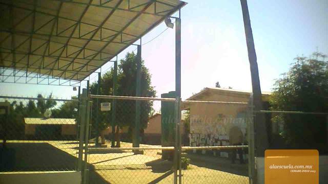 Entrada (vista previa)