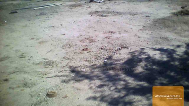 Áreas (vista previa)