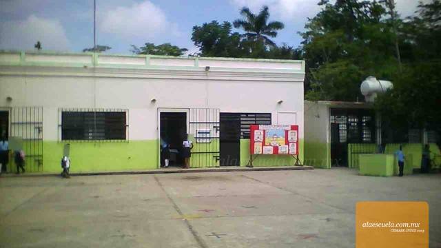 Entrada (vista previa)