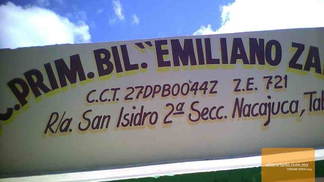 Entrada (vista previa)