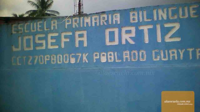 Entrada (vista previa)